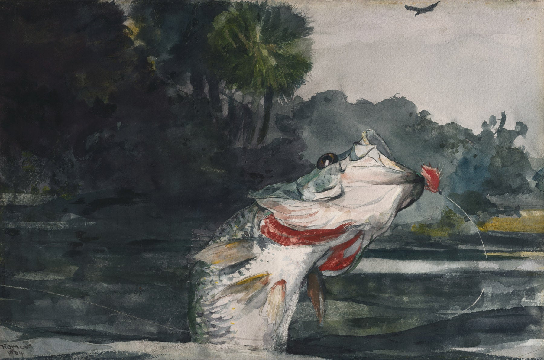 Large green and black Fish canvas print of Life-Size Black Bass by Winslow Homer