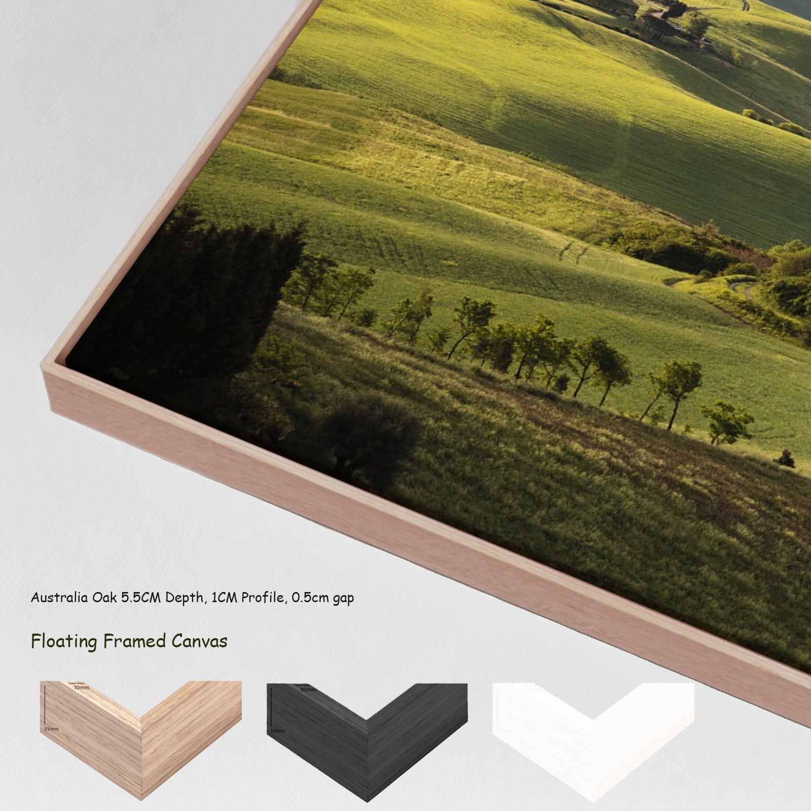 667N - 667N_floating_frames_canvas_7