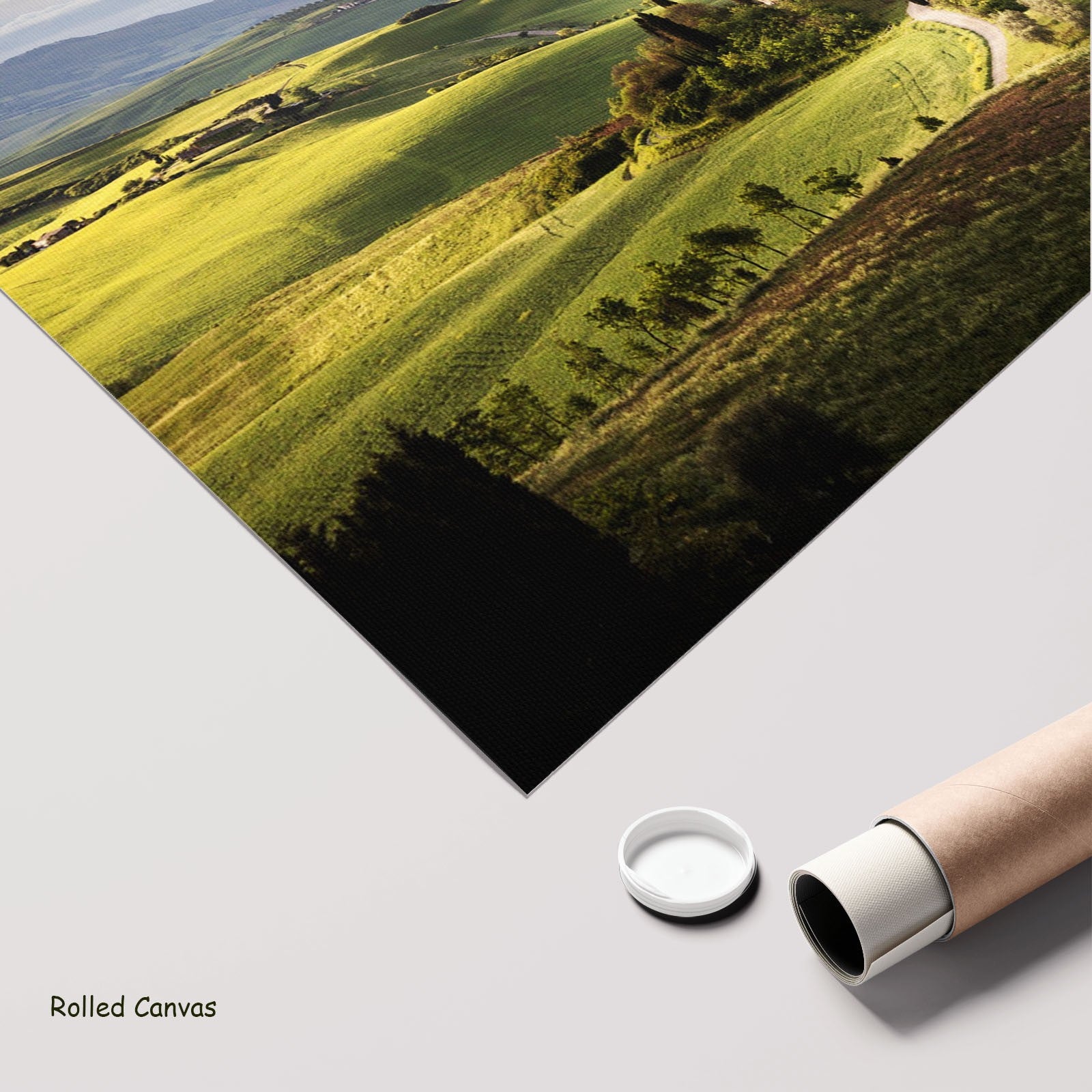 667N - 667N_rolled_canvas_6