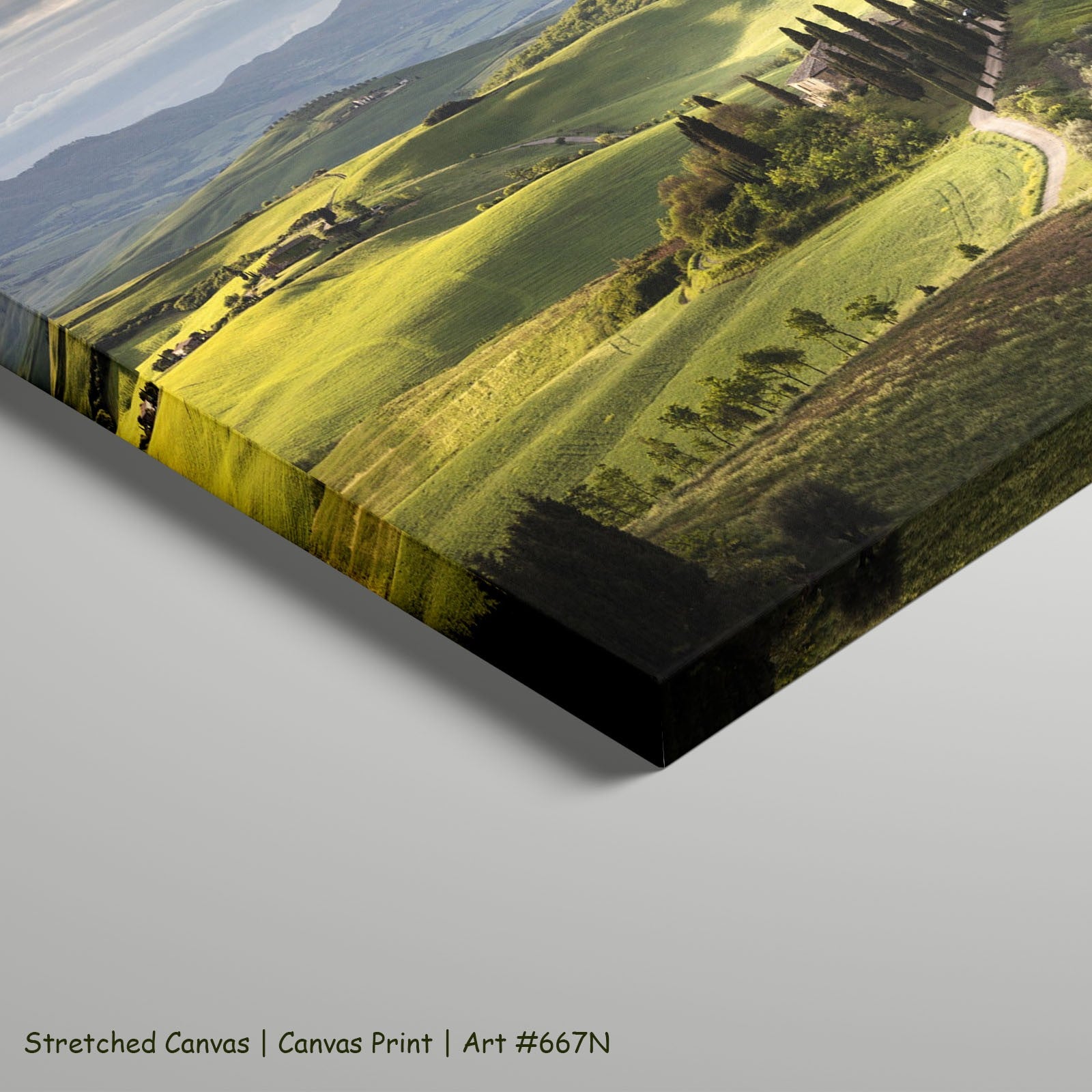 667N - 667N_stretched_canvas_5