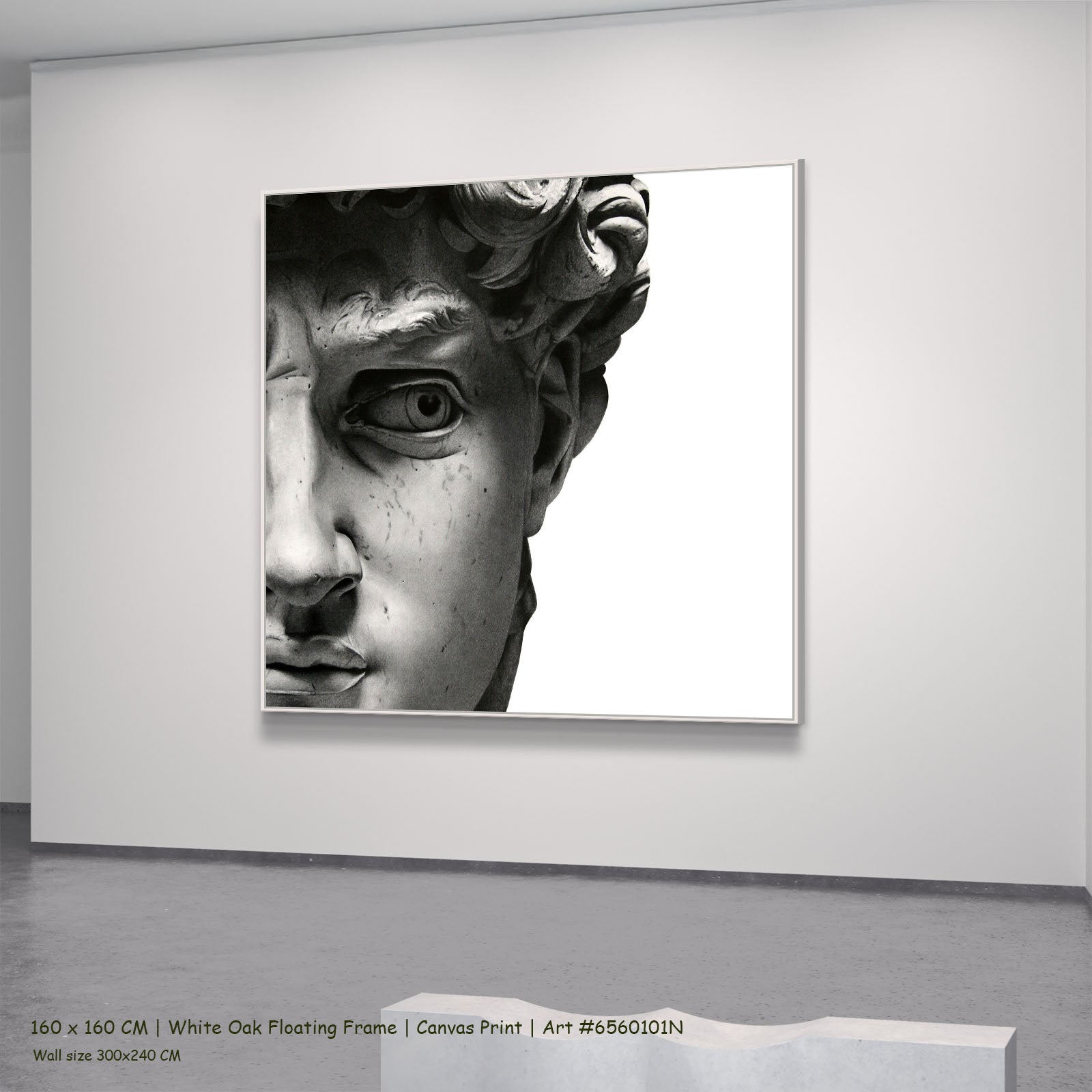 7160101N white oak — large canvas print
