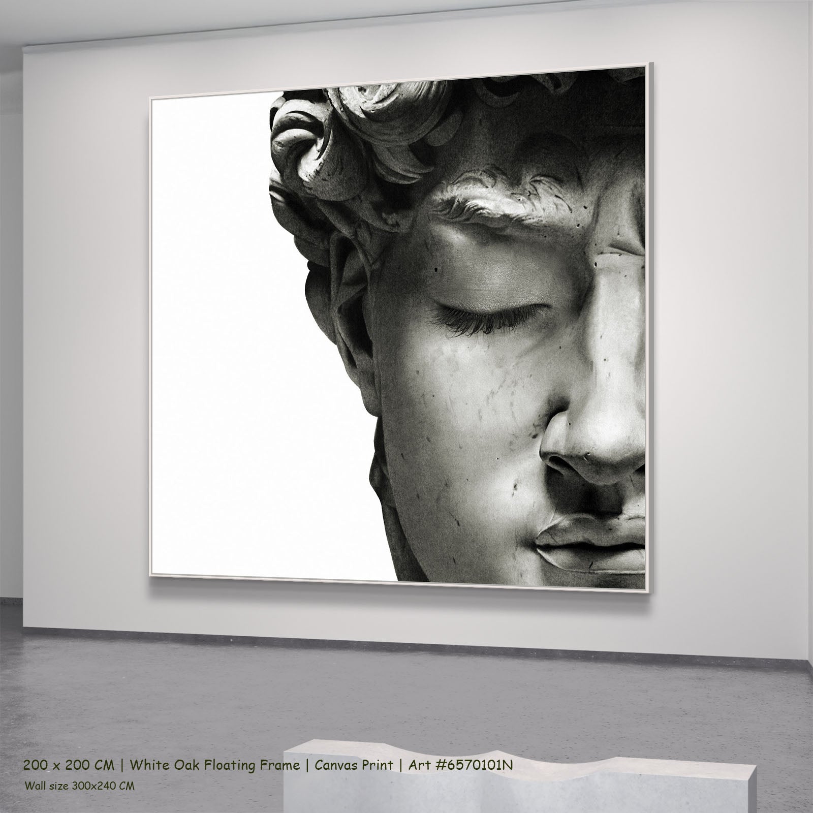 7170101N white oak — large canvas print