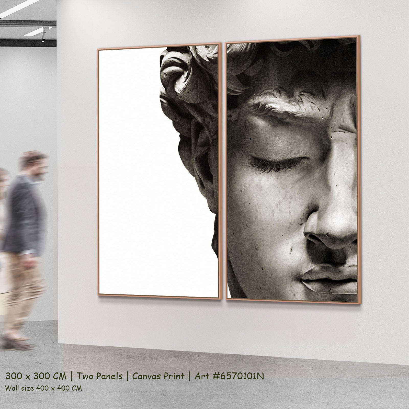 7170101N 2-panel — large canvas print