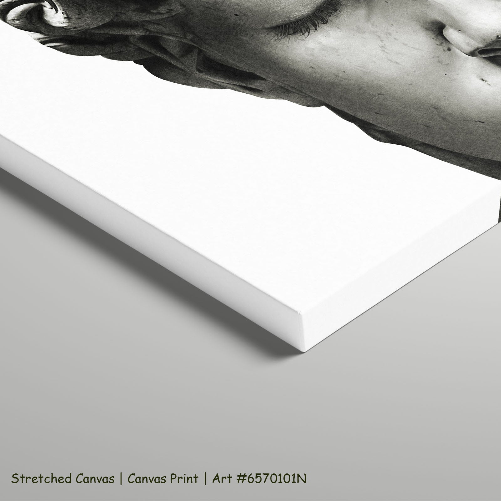 7170101N stretched — large canvas print