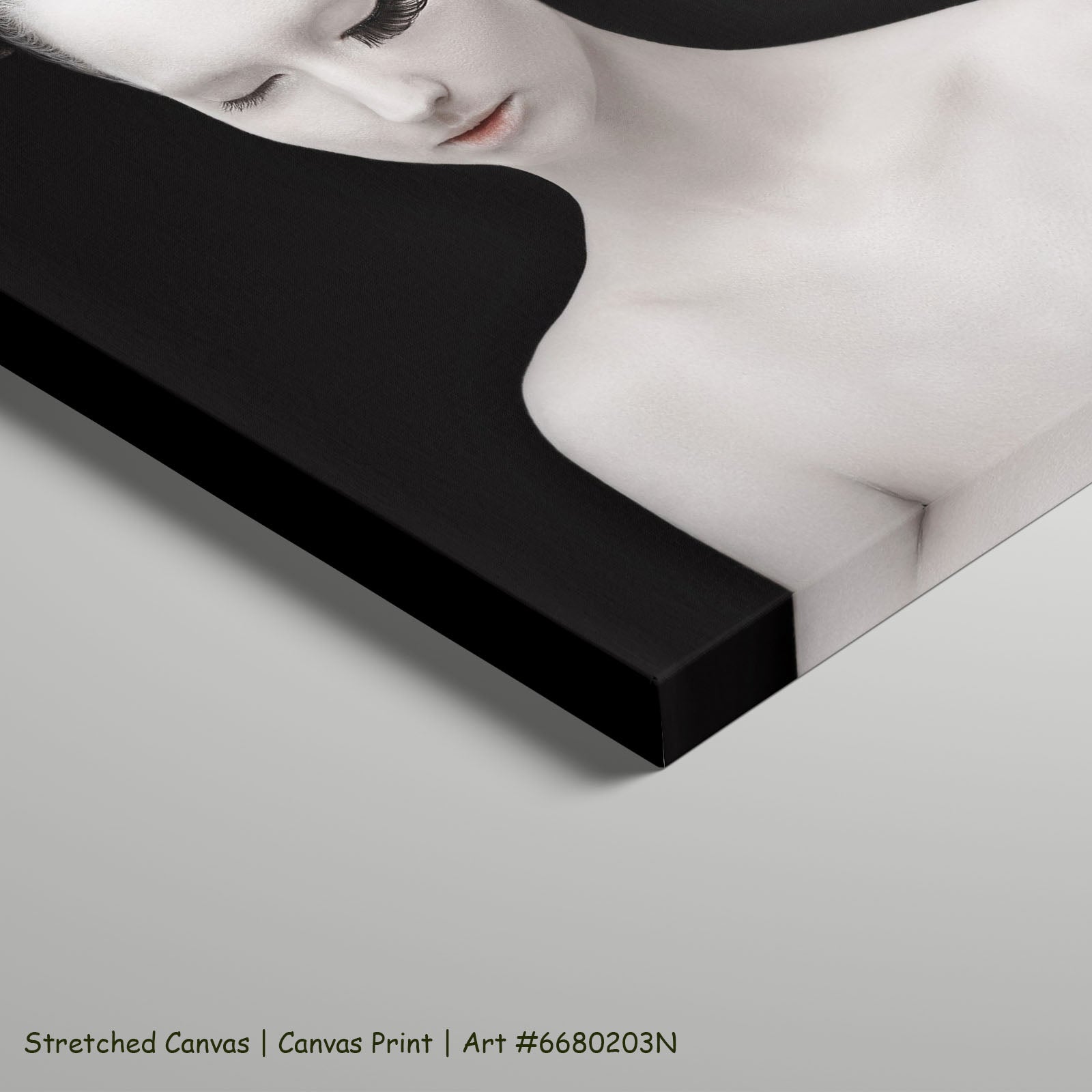 7250203N stretched — large canvas print