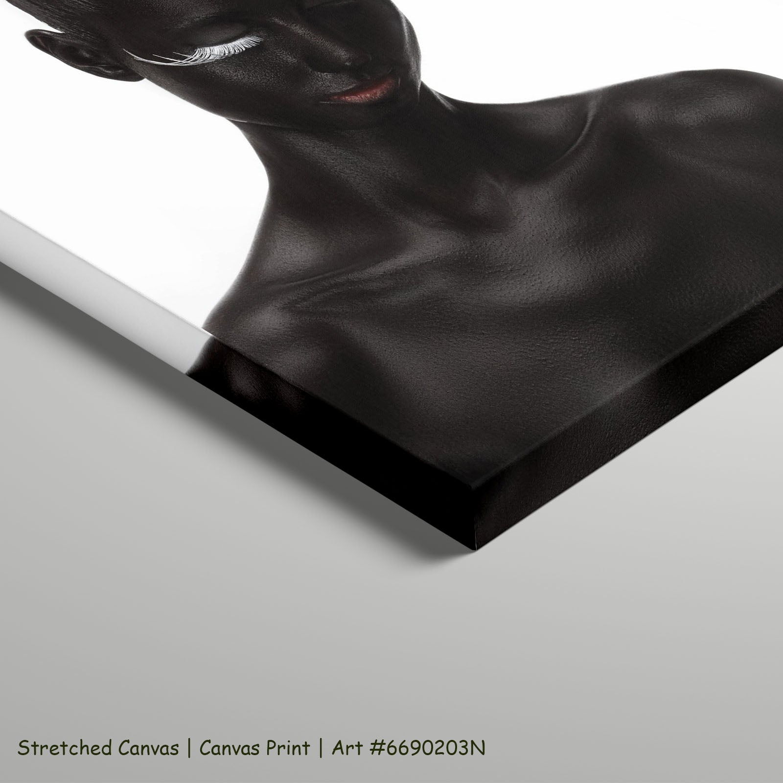 7260203N stretched — large canvas print
