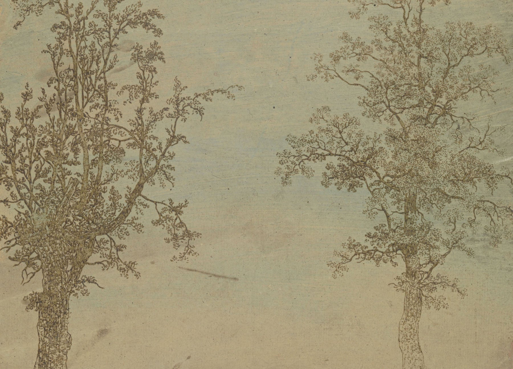 Two Trees: An Alder and an Ash | Hercules Segers | 110×80 to 400×300 CM — detail