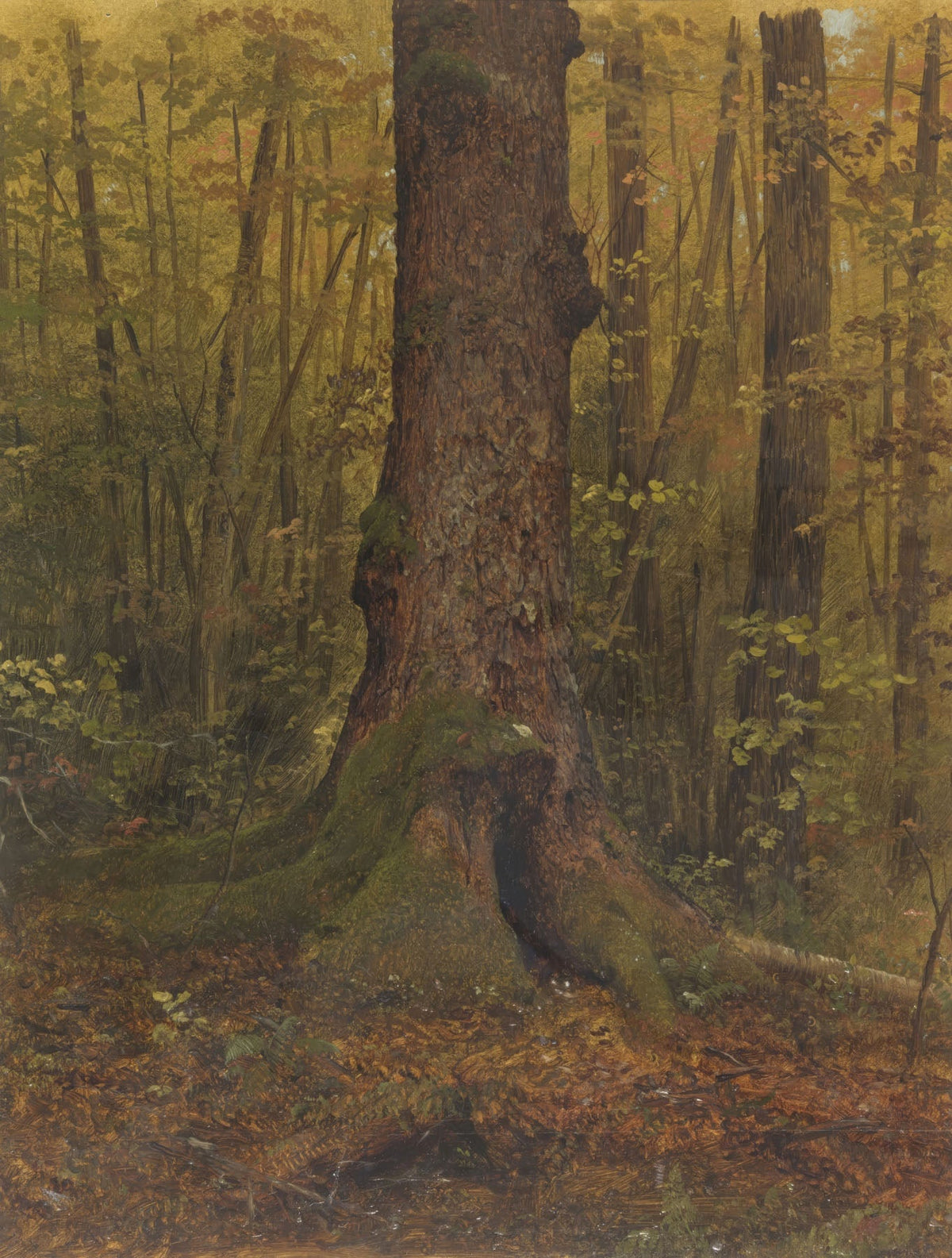 In the Woods, Maine — Tall Forest Landscape canvas wall art by Frederic Edwin Church
