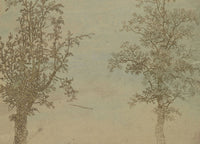 Two Trees: An Alder and an Ash — Large Botanical Line-Art canvas wall art by Hercules Segers