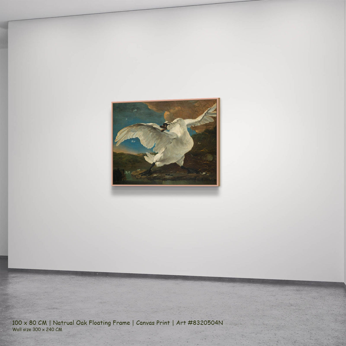 Jan Asselijn — The Threatened Swan Wildlife canvas wall art in a natural oak floating frame, 100 × 80 cm