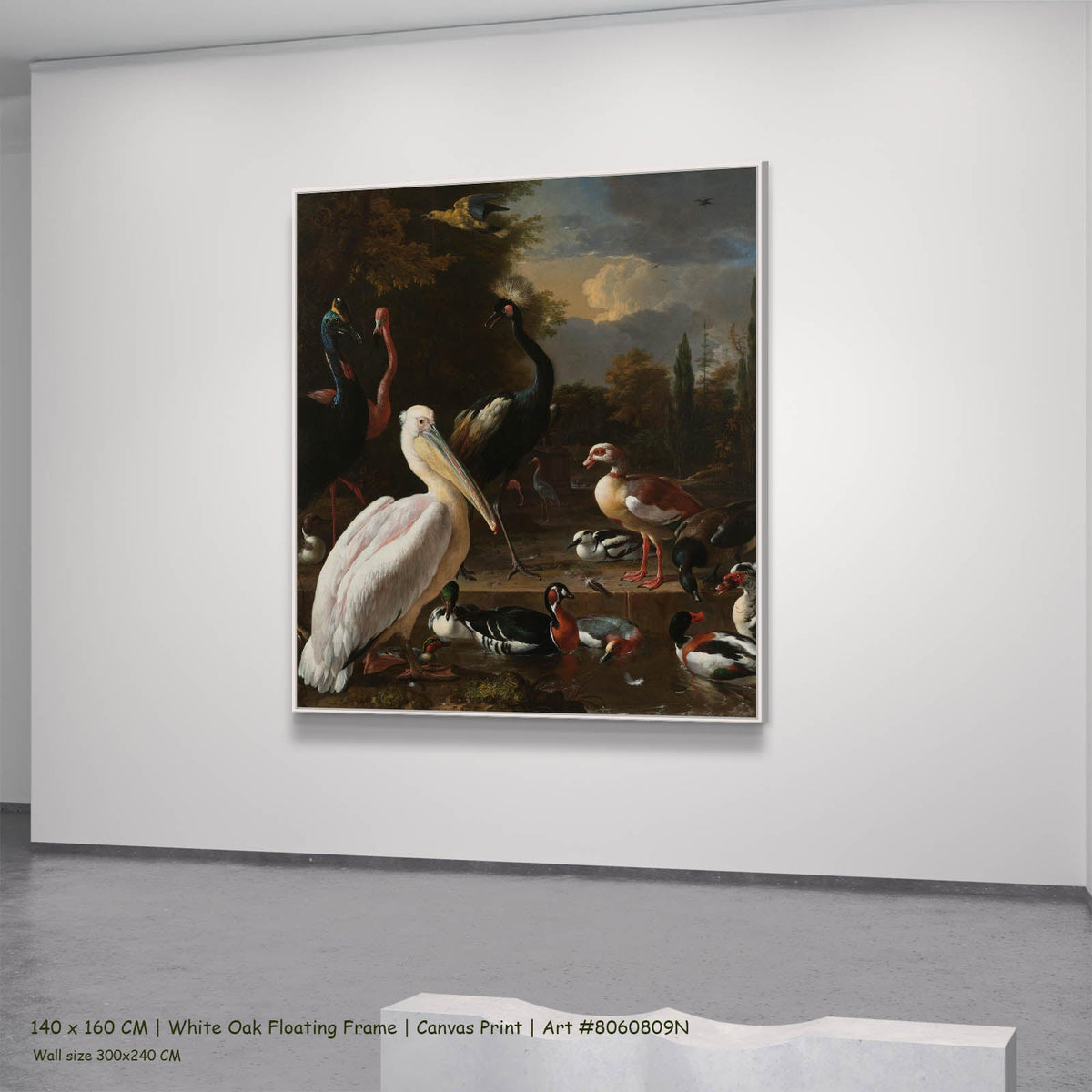 Melchior d'Hondecoeter — A Pelican & Other Birds (The Floating Feather) Wildlife canvas wall art in a white oak floating…