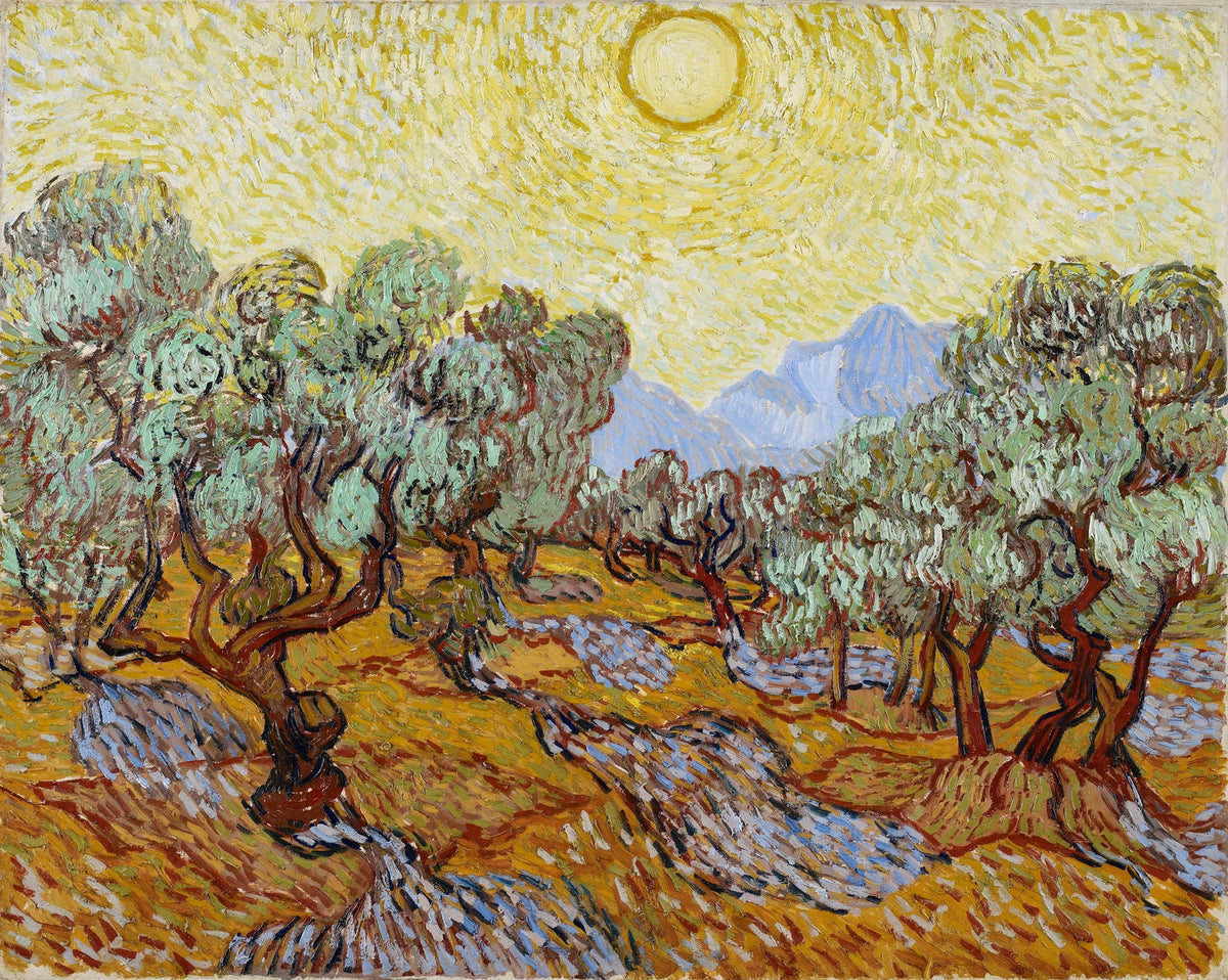 Large yellow and orange Impressionist canvas print of Olive Trees with Yellow Sky and by Vincent van Gogh