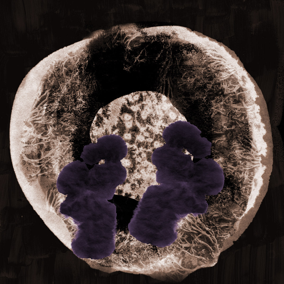 Contemporary art pair I #The new earth 250122-12