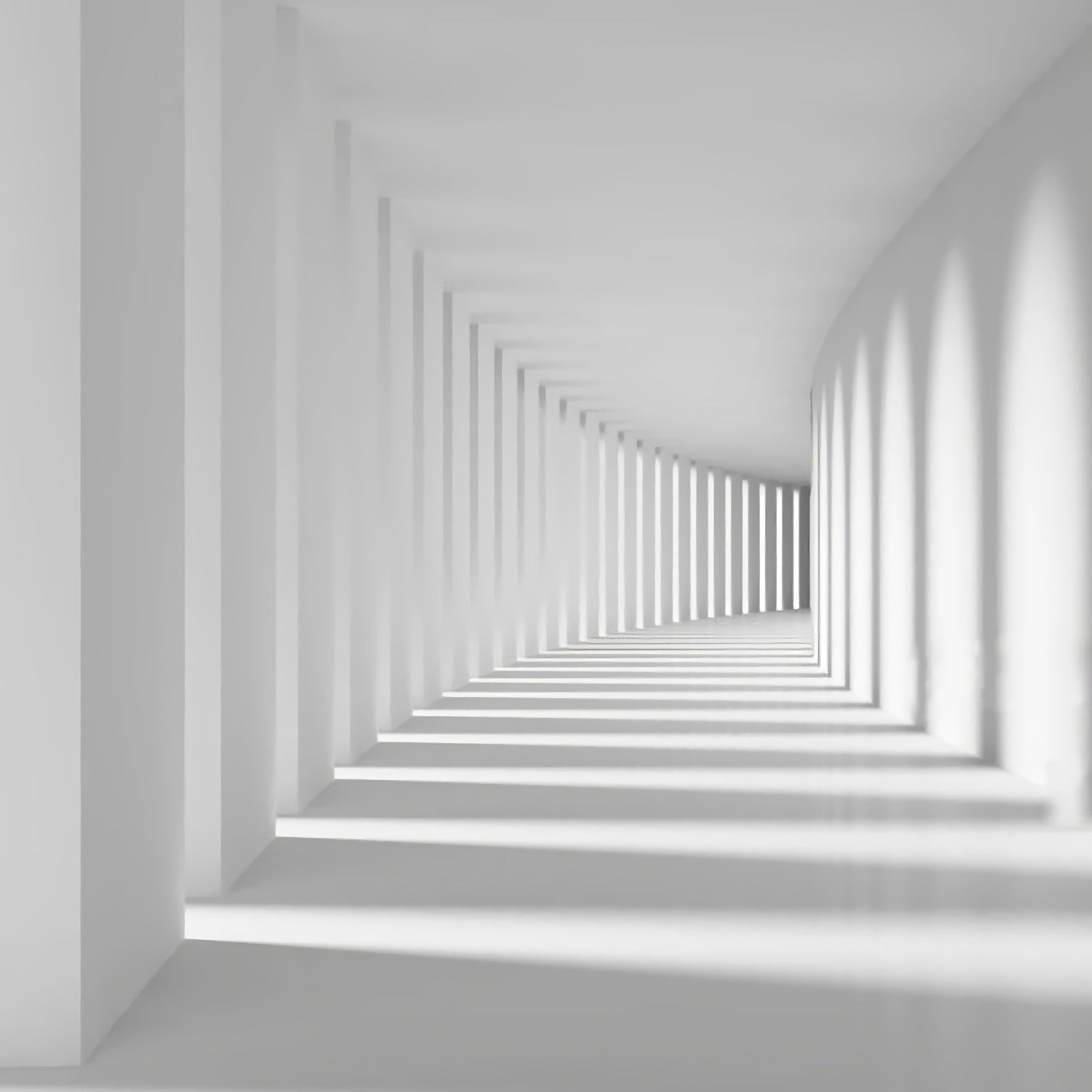 Architecture black-and-white, building | Column hall interior line | Monochrome photography | White #1191