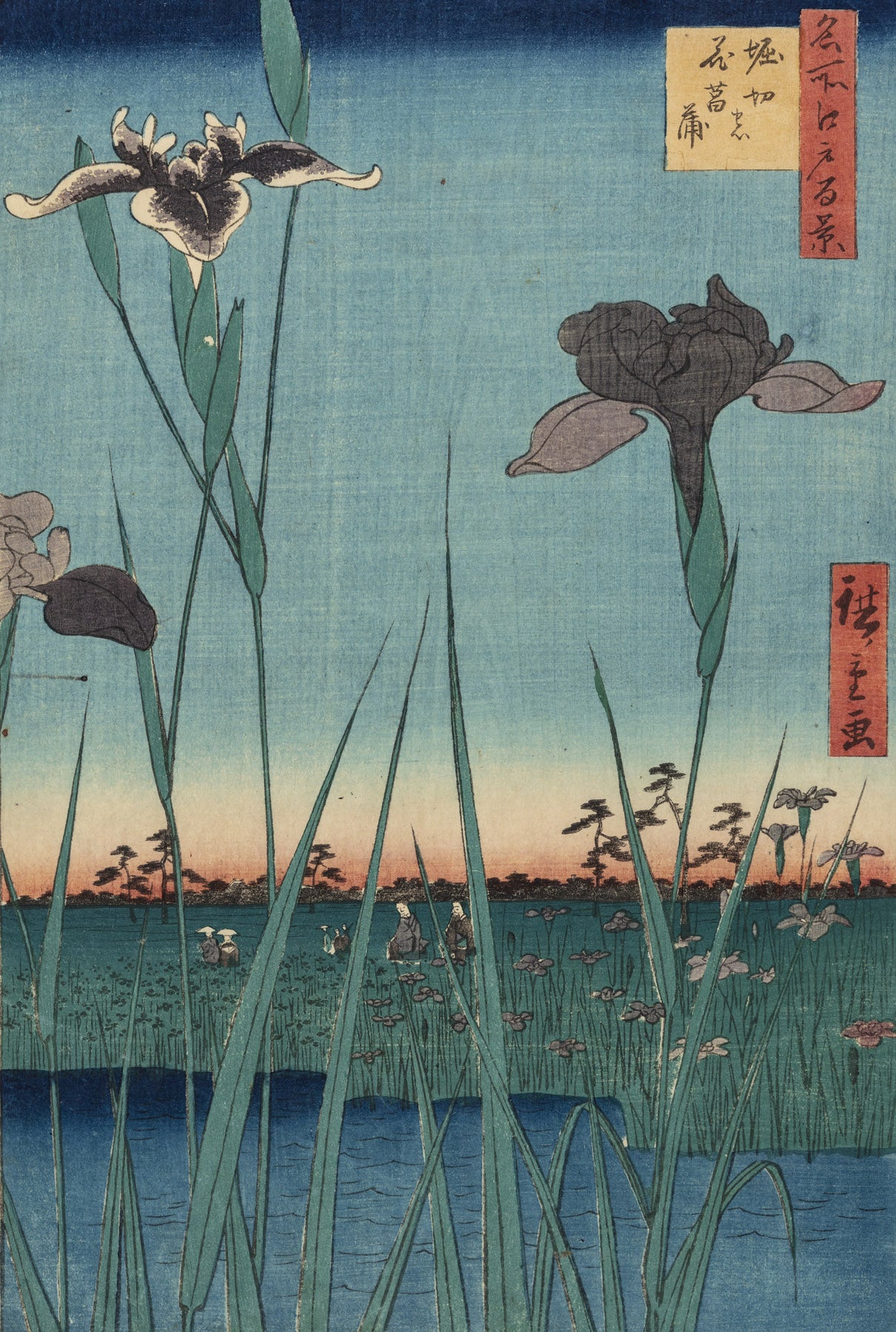 Large aqua and light blue Japanese canvas print of Horikiri Iris Garden by Utagawa Hiroshige I