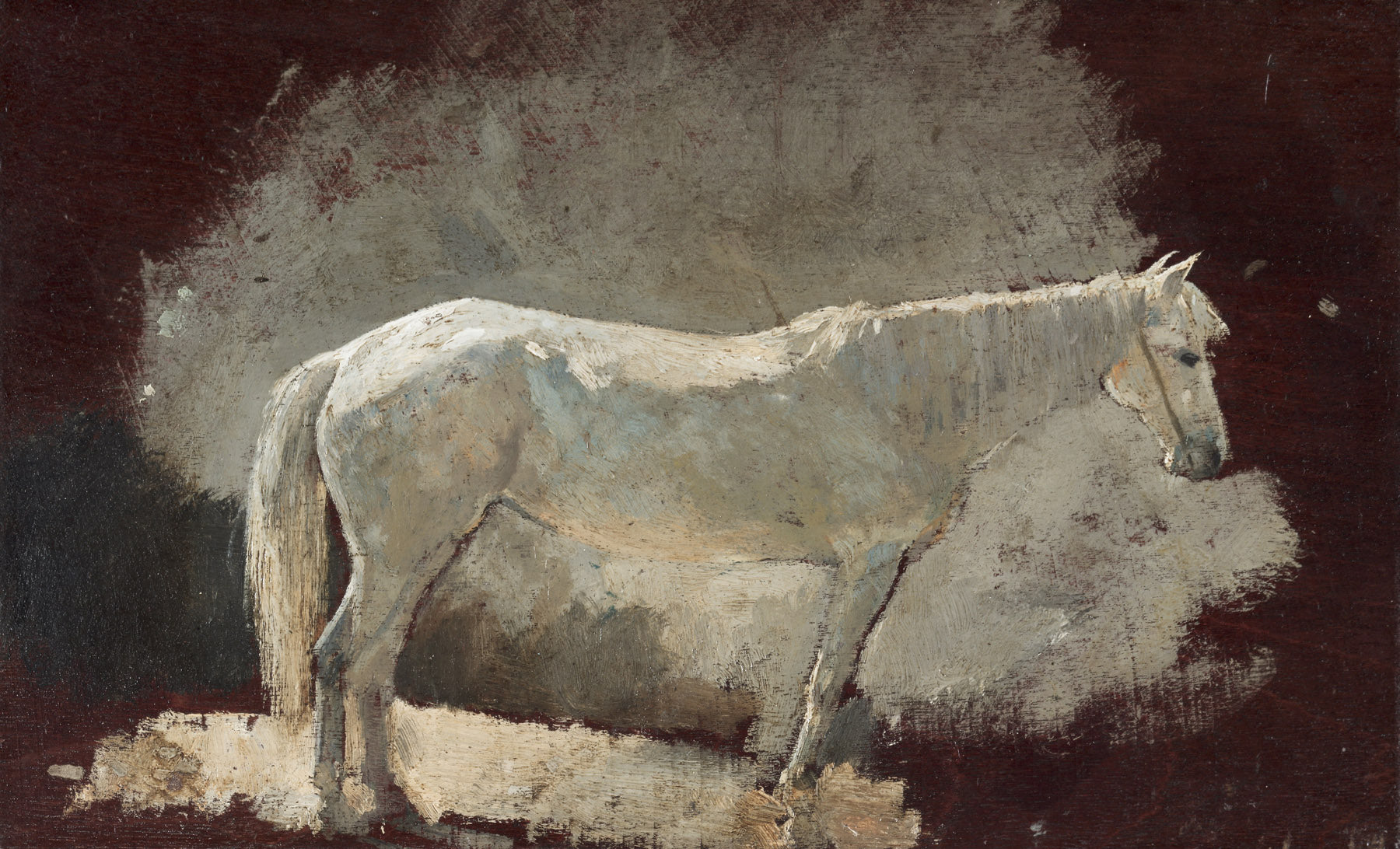 Large brown and white Horse canvas print of White Mare by Winslow Homer