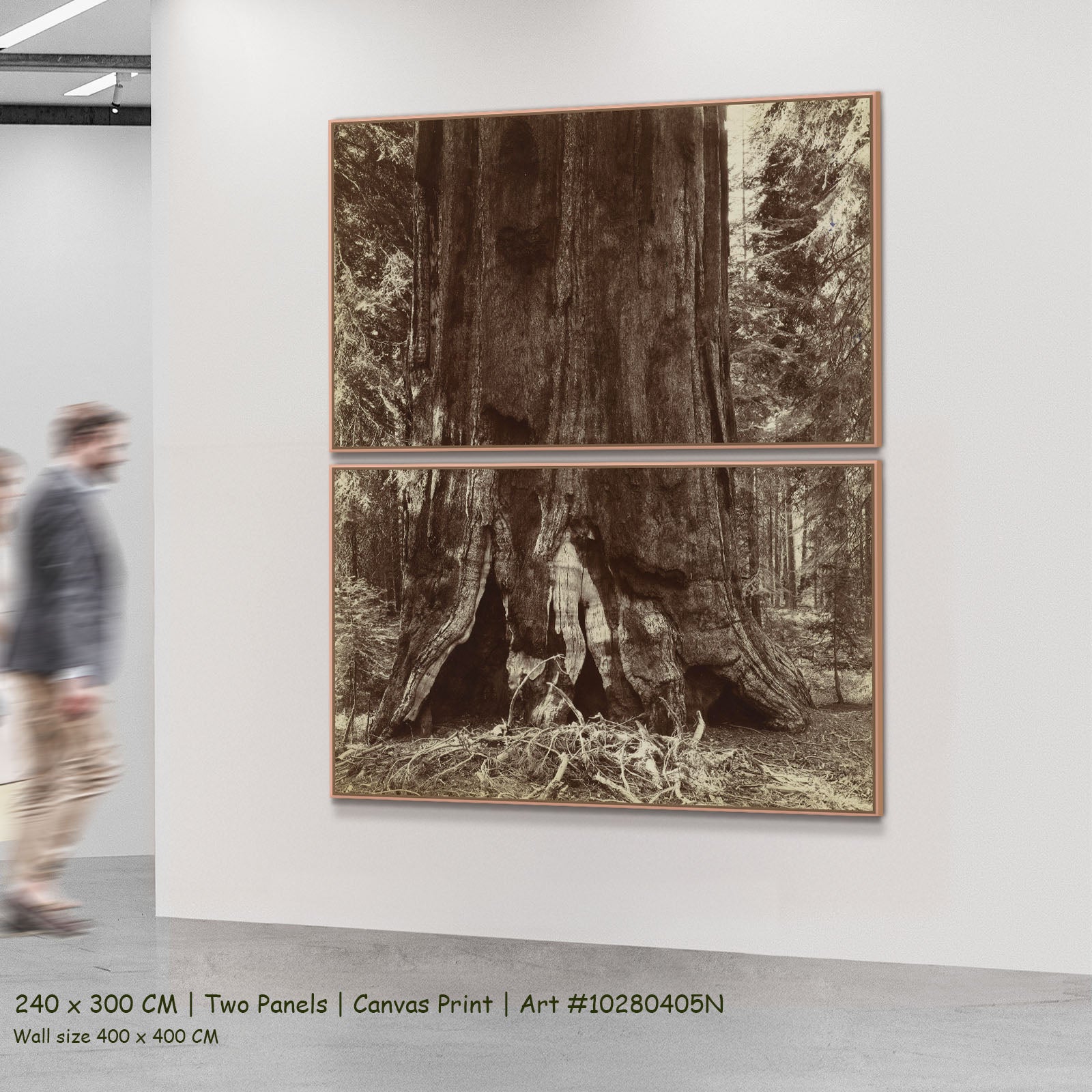 Stam van een mammoetboom by Anonymous as a large two-panel brown and white Photography canvas set