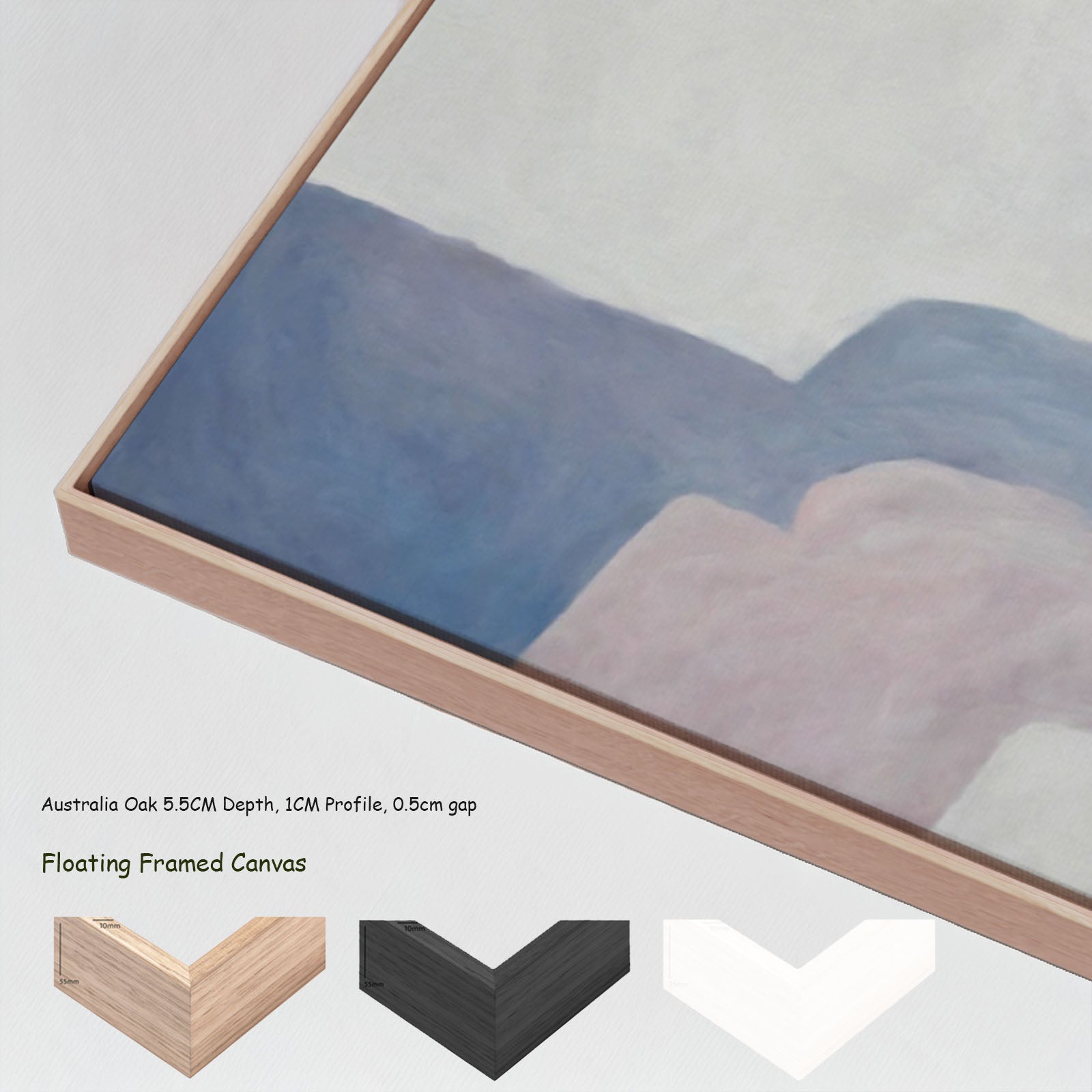 529N floating frames — large canvas print