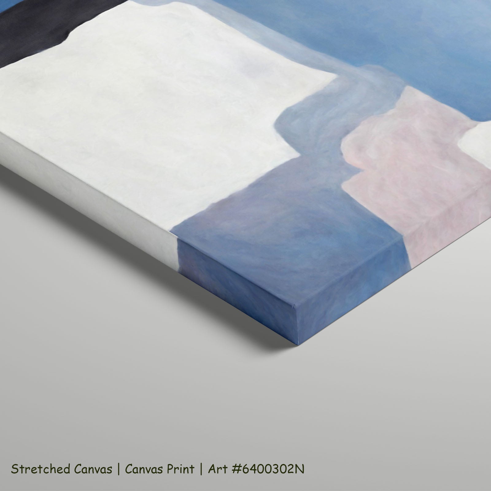 529N stretched — large canvas print