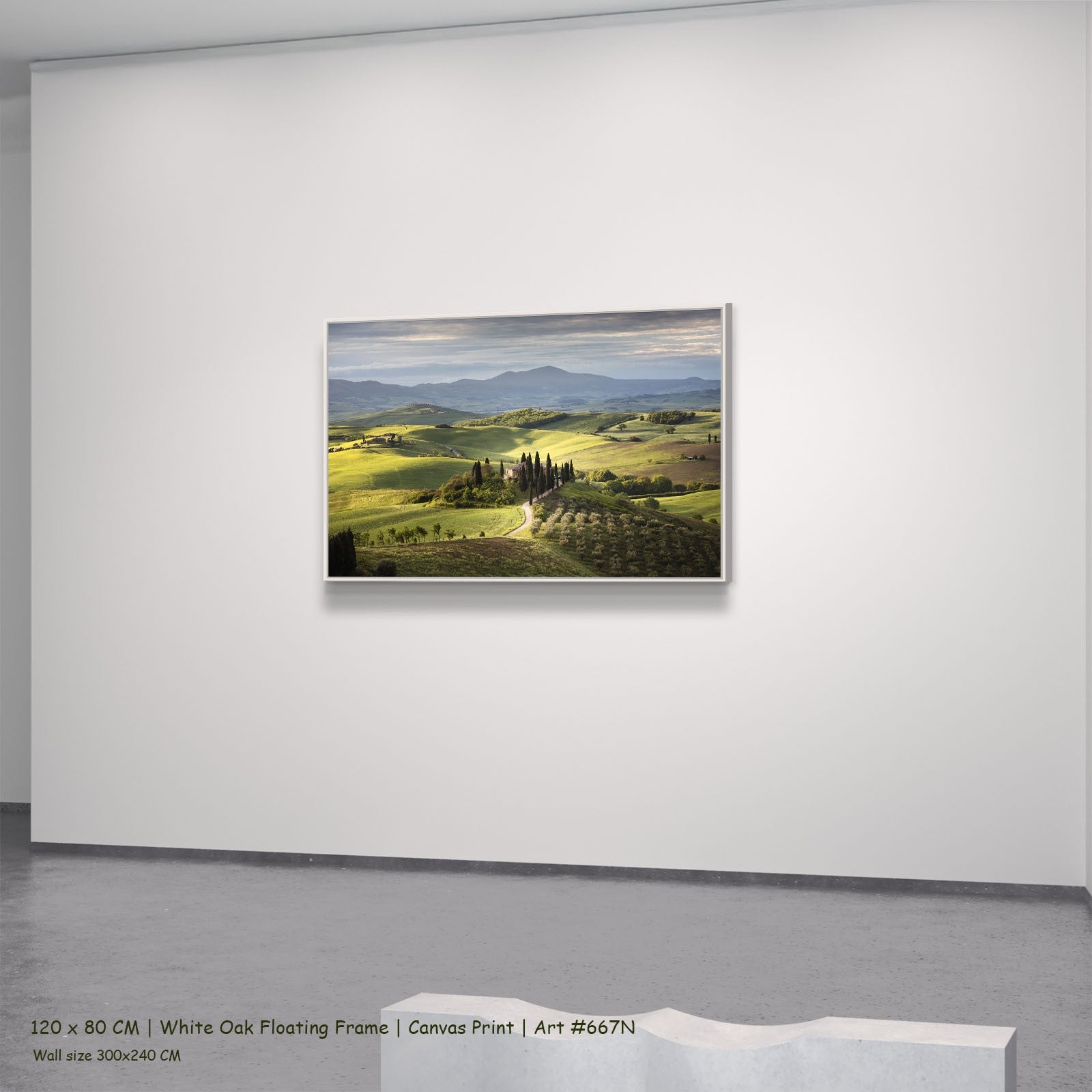667N - 667N_120x80_white_oak_floating_frame_1