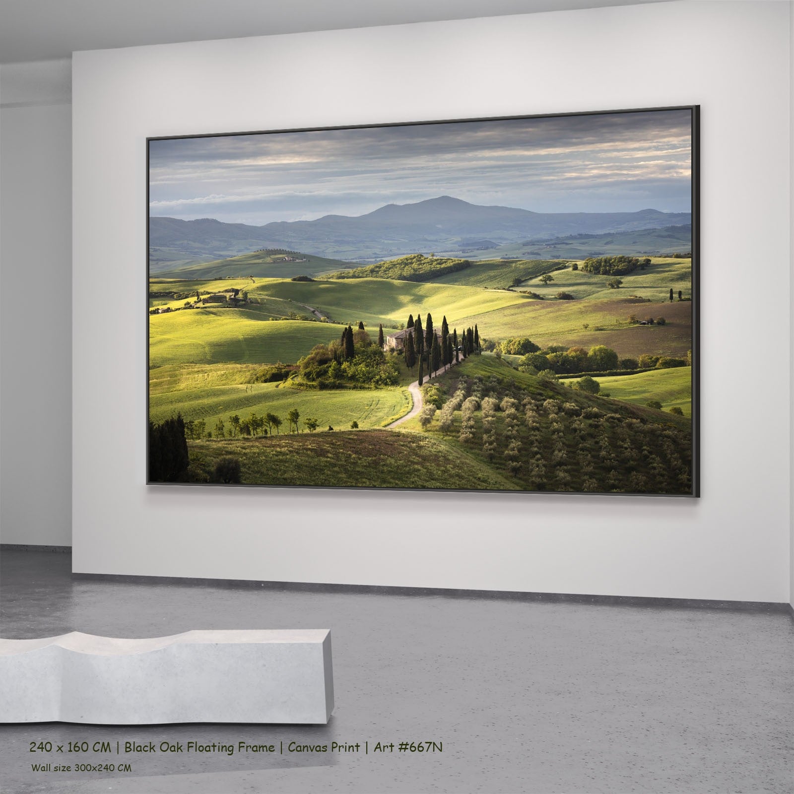 667N - 667N_240x160_black_oak_floating_frame_3