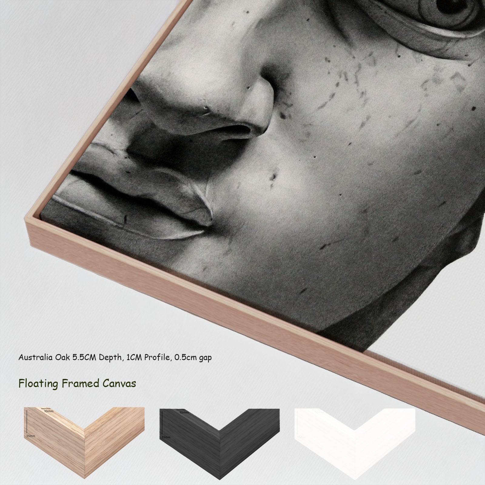7160101N floating frames — large canvas print