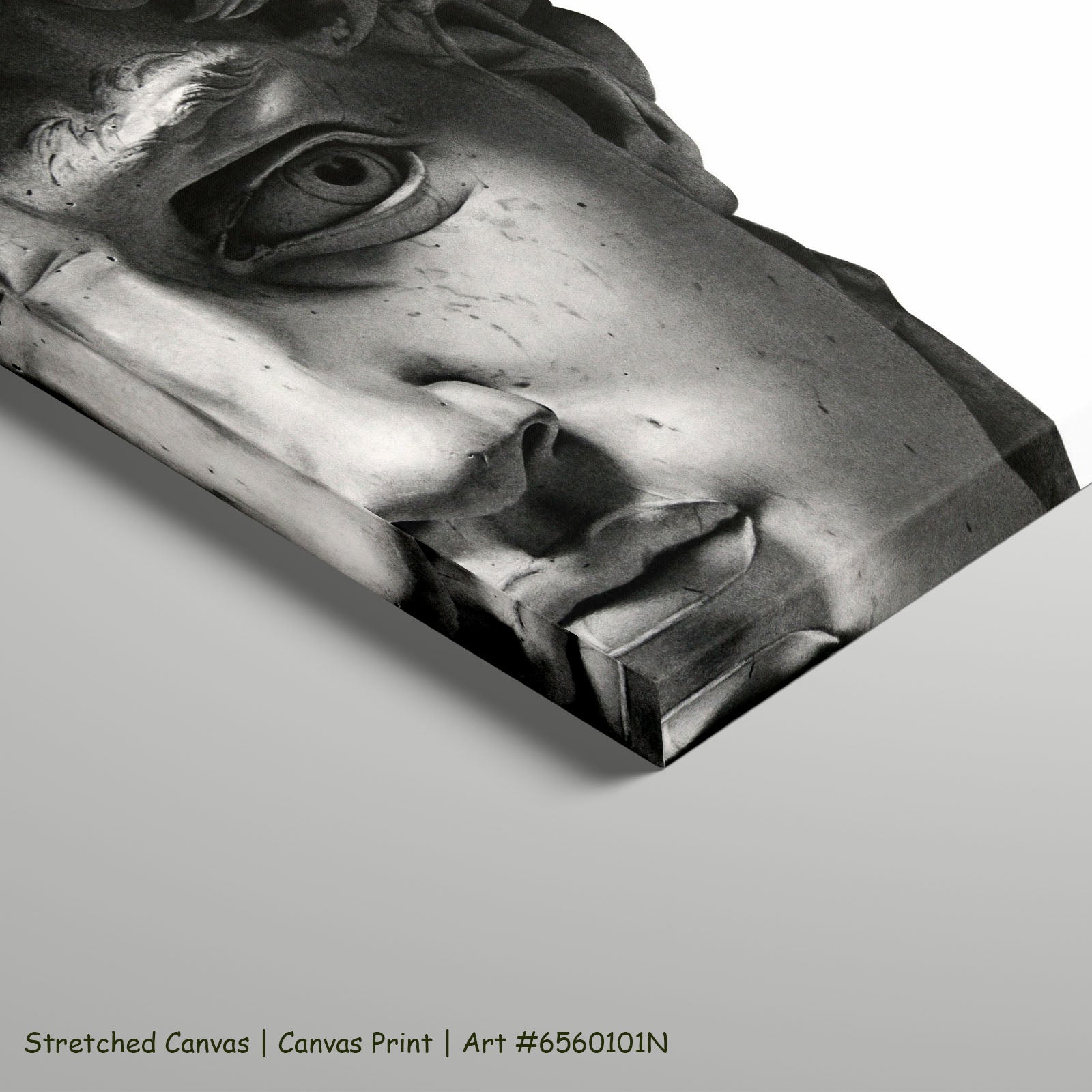 7160101N stretched — large canvas print