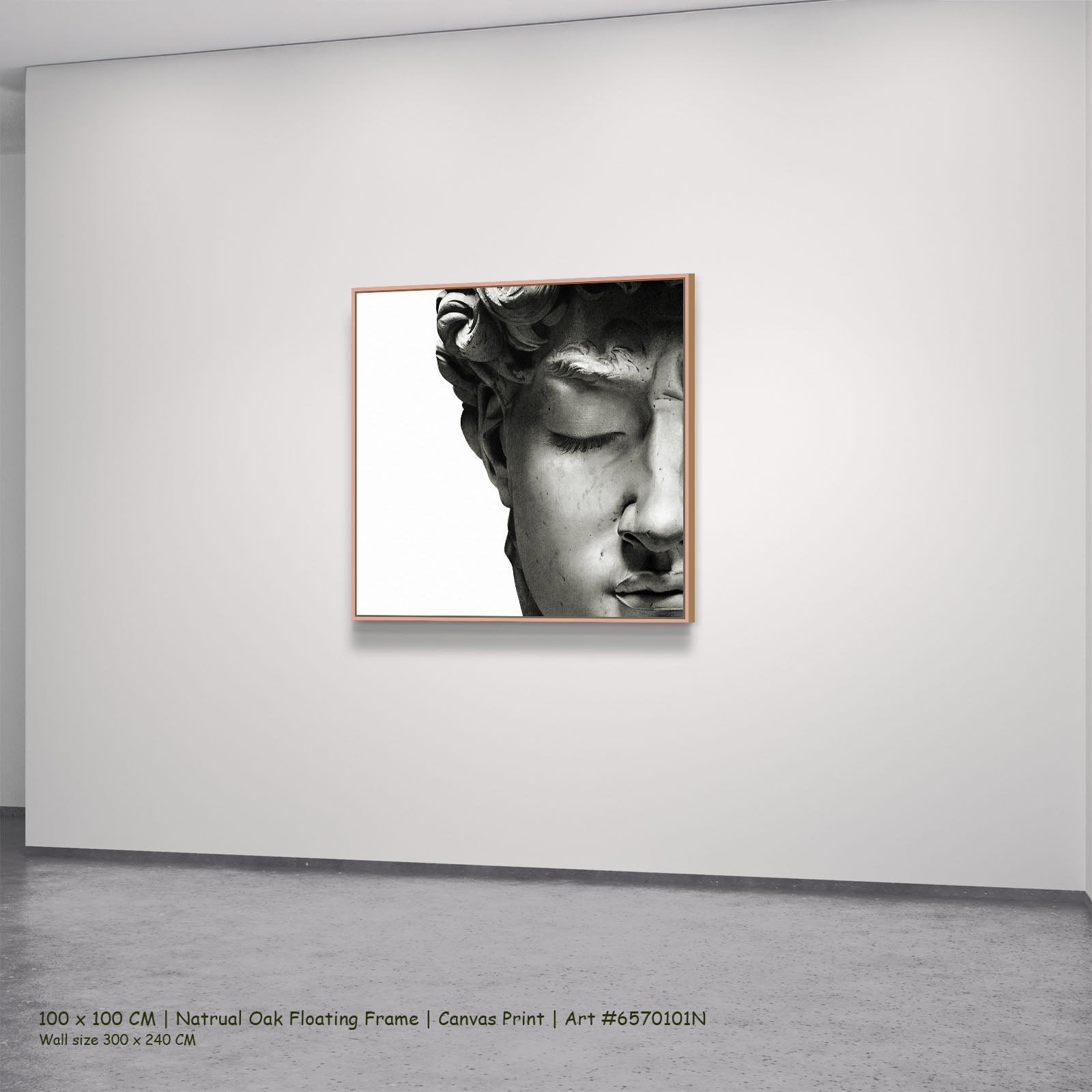 7170101N natural oak — large canvas print