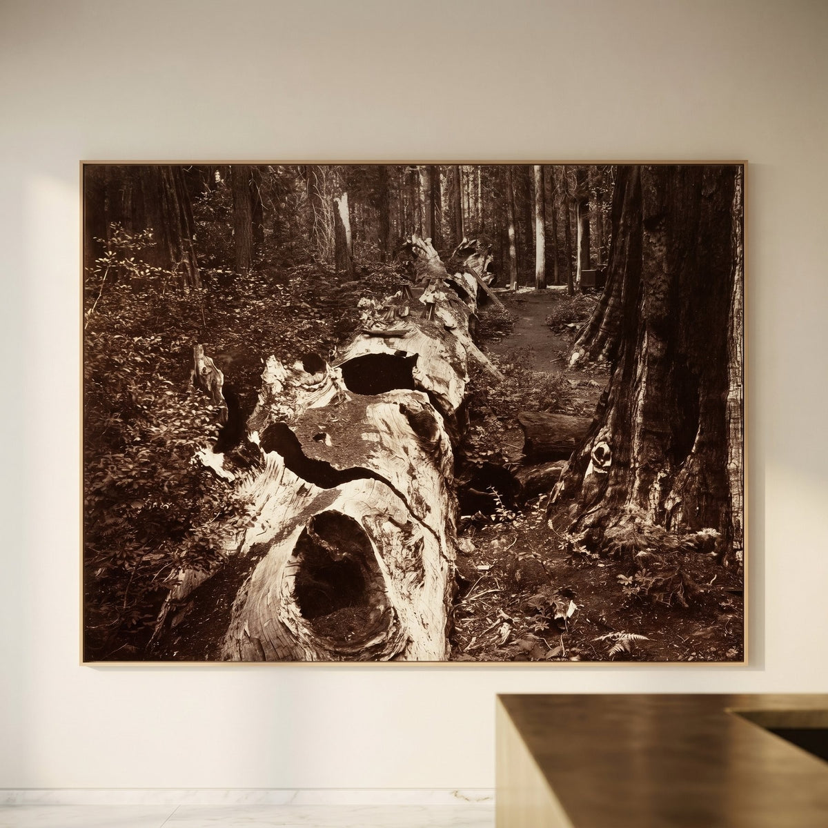 Carleton E. Watkins | Large Black Photography Canvas Wall Art | The Father of the Forest