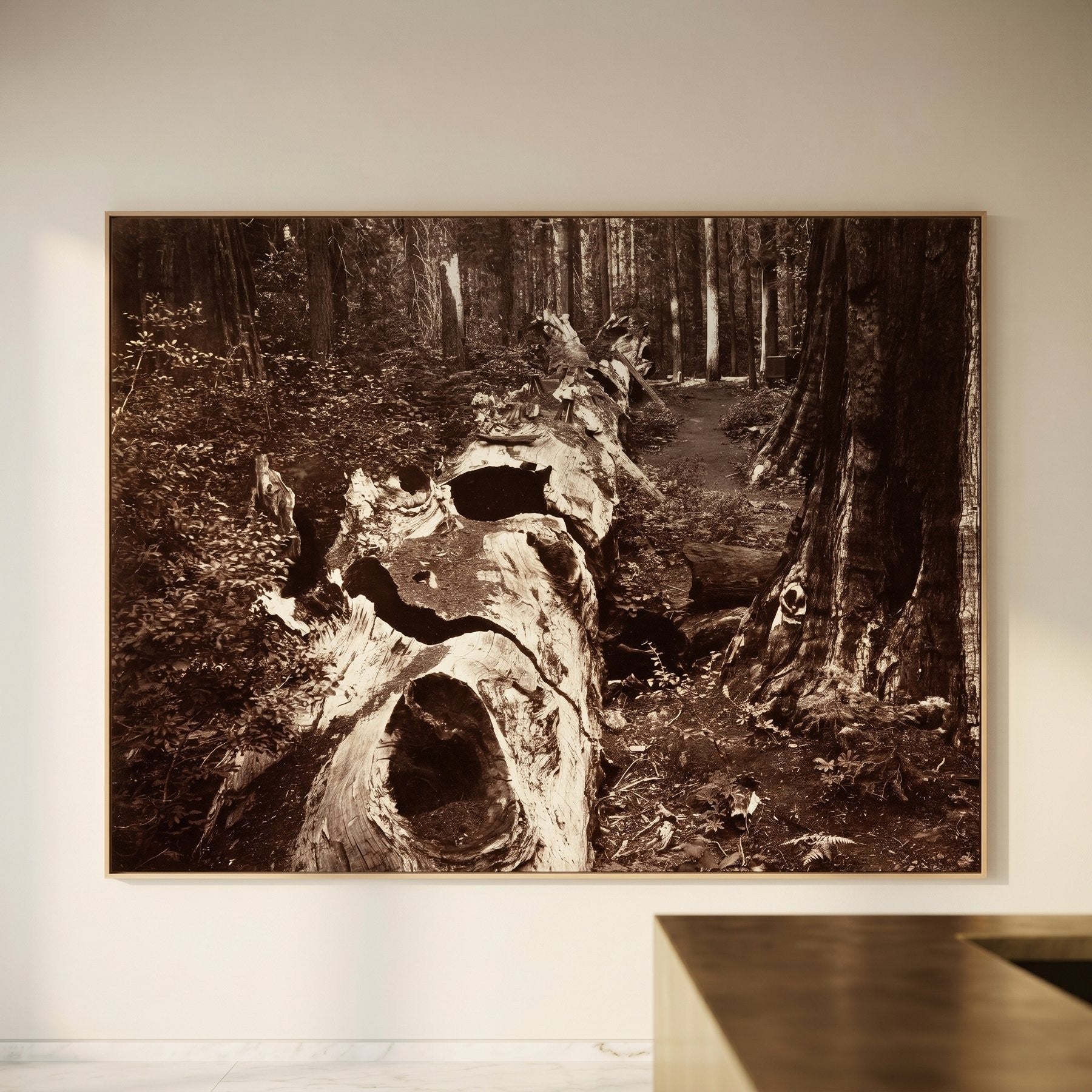 The Father of the Forest, Calaveras Grove | Carleton E. Watkins | 110×80 to 320×240 CM — main view