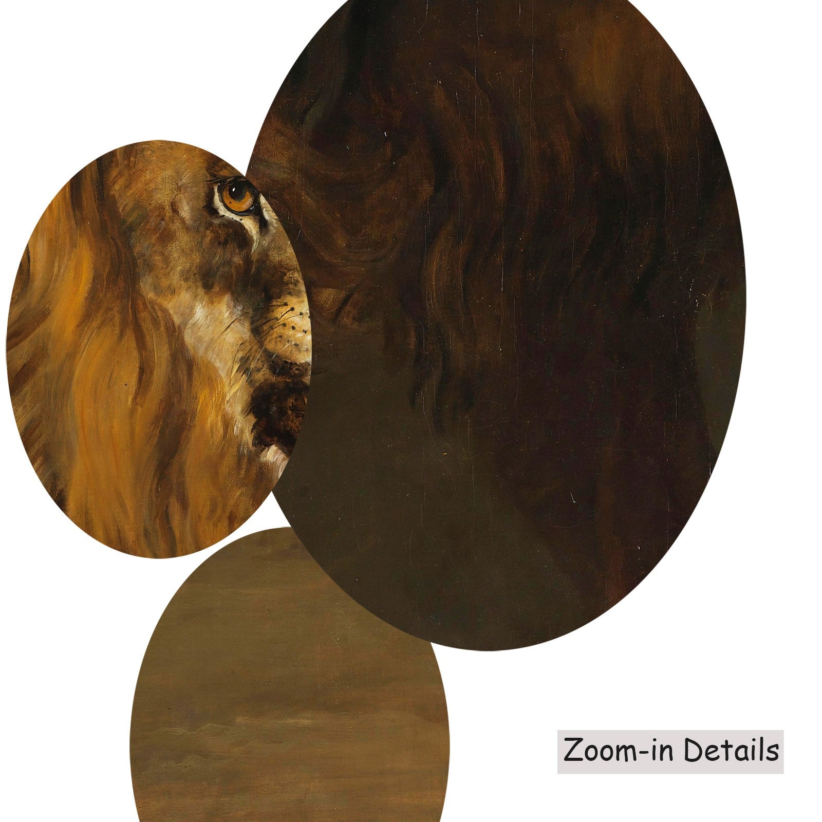 A Lion from the Menagerie of King Louis Napoleon canvas — close-up detail of the framed canvas print