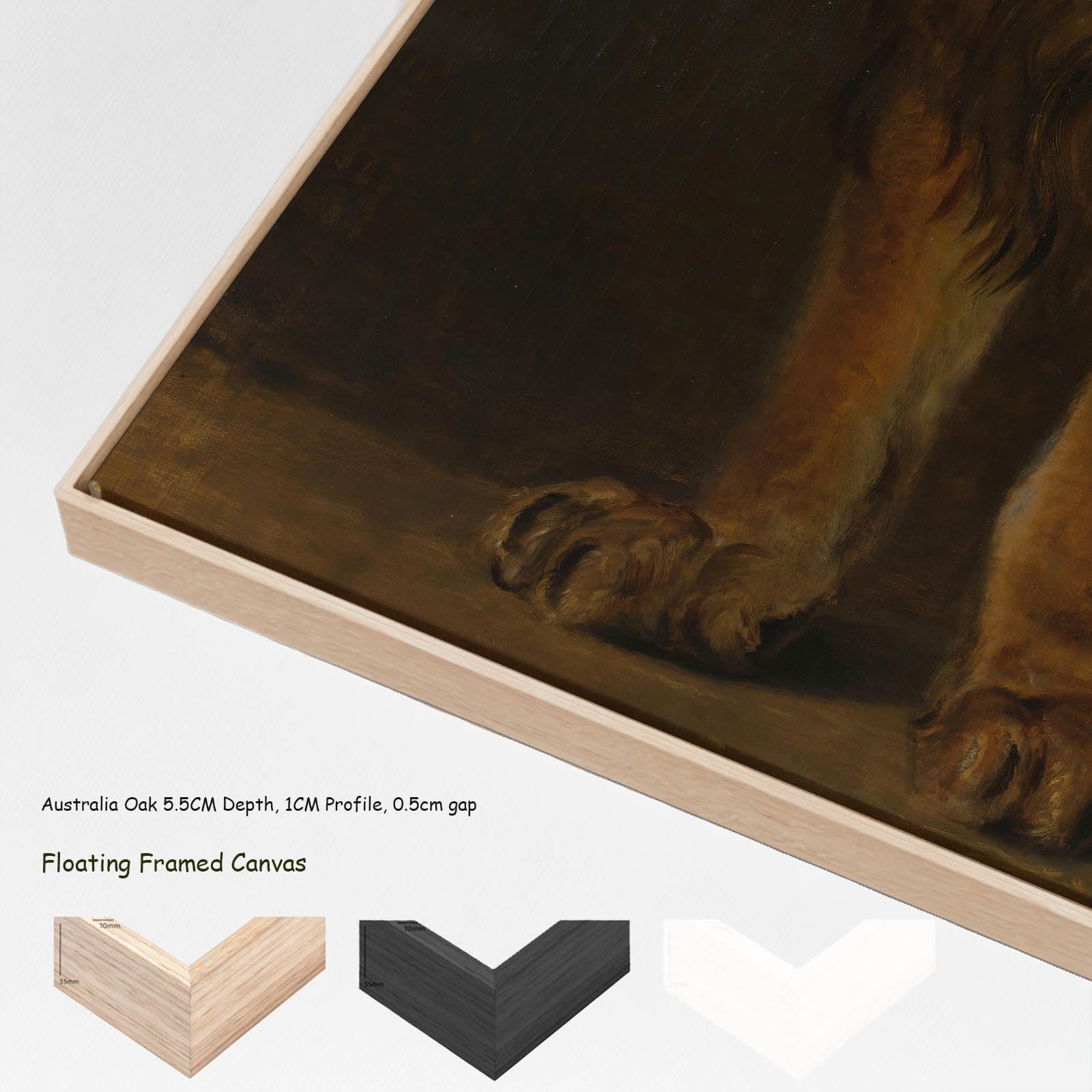 A Lion from the Menagerie of King Louis Napoleon canvas wall art with floating frame options