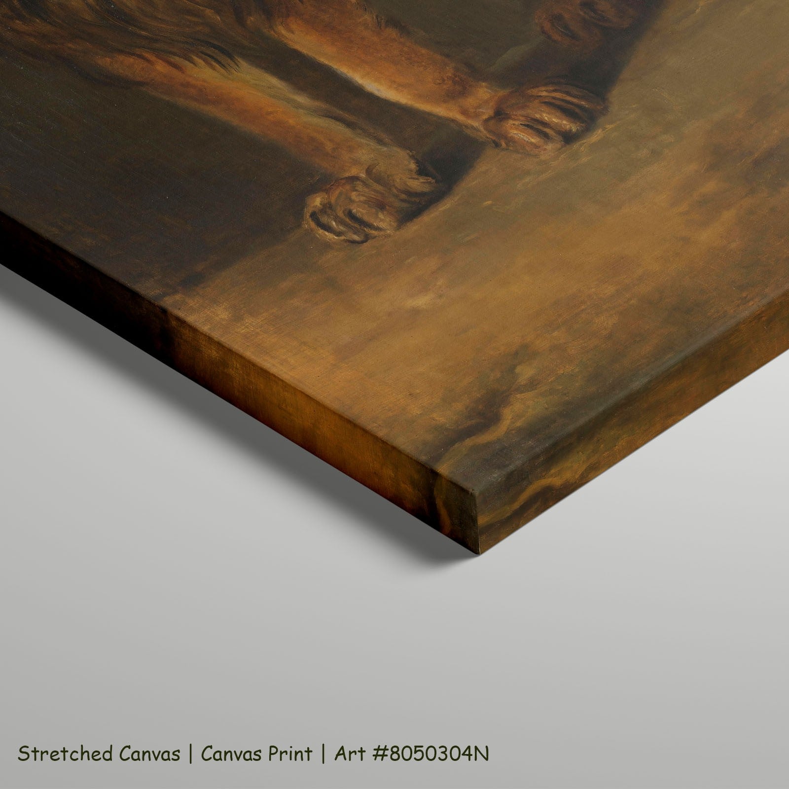 A Lion from the Menagerie of King Louis Napoleon Wildlife art on stretched canvas