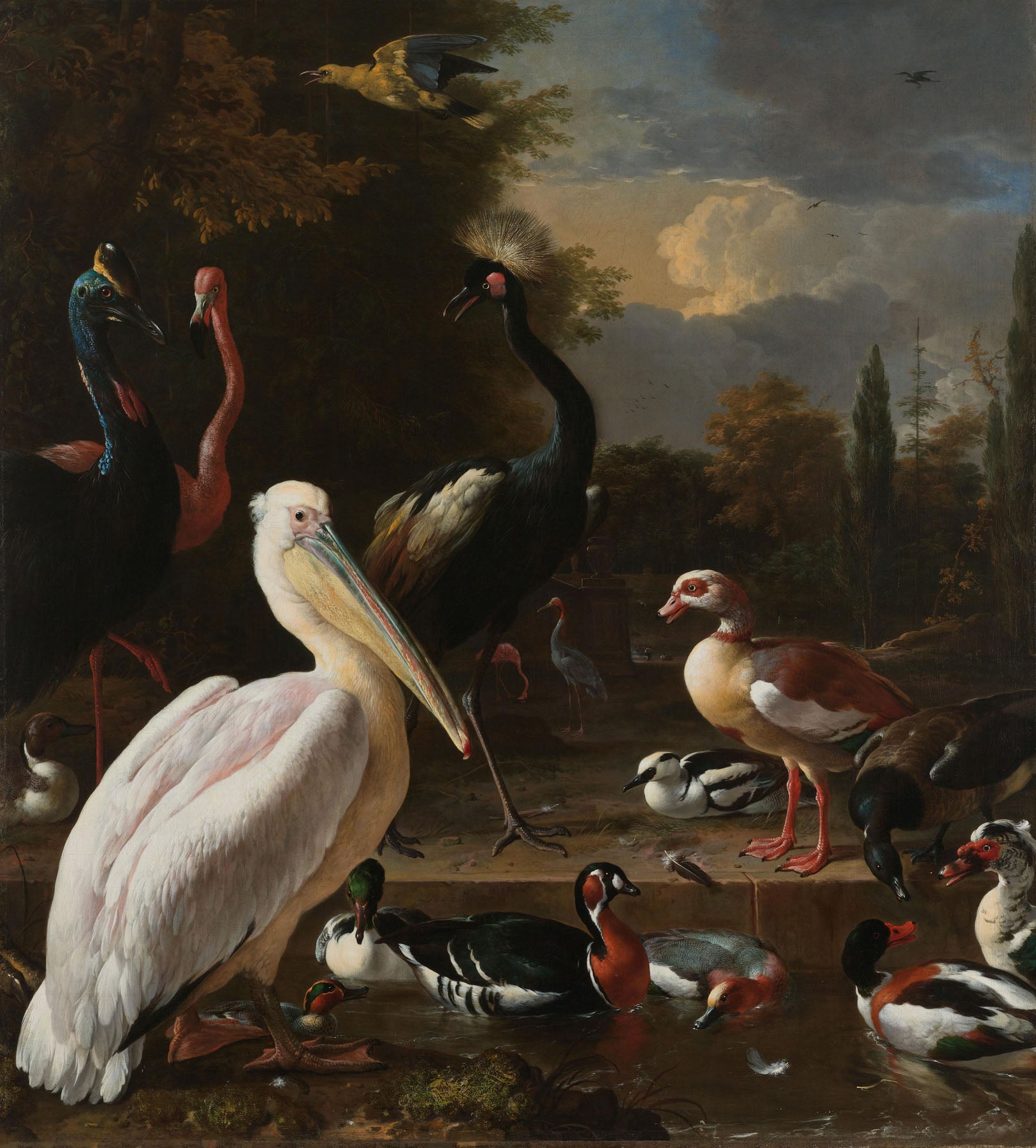 A Pelican and Other Birds Near a Pool (The Floating Feather) | Melchior d'Hondecoeter | 90×100 to 240×280 CM — detail