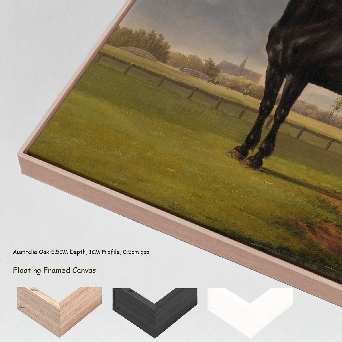 Anthony Oberman — Adriaan van der Hoop's Trotter "De Vlugge" canvas wall art with floating frame options