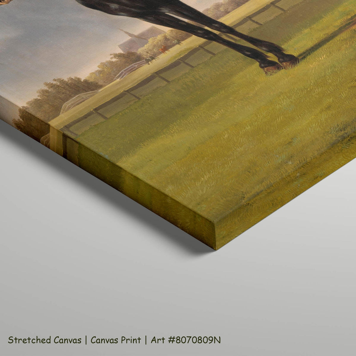Anthony Oberman — Adriaan van der Hoop's Trotter "De Vlugge" Equestrian art on stretched canvas