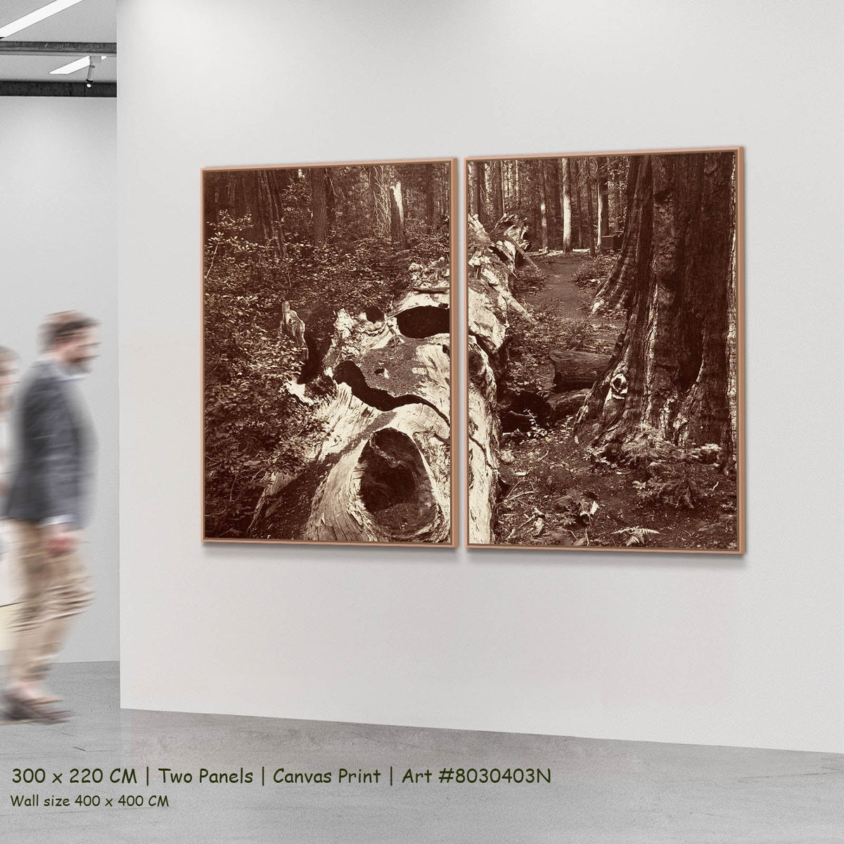 Carleton E. Watkins — The Father of the Forest, Calaveras Grove Landscape two-panel canvas wall art set, 300 × 220 cm