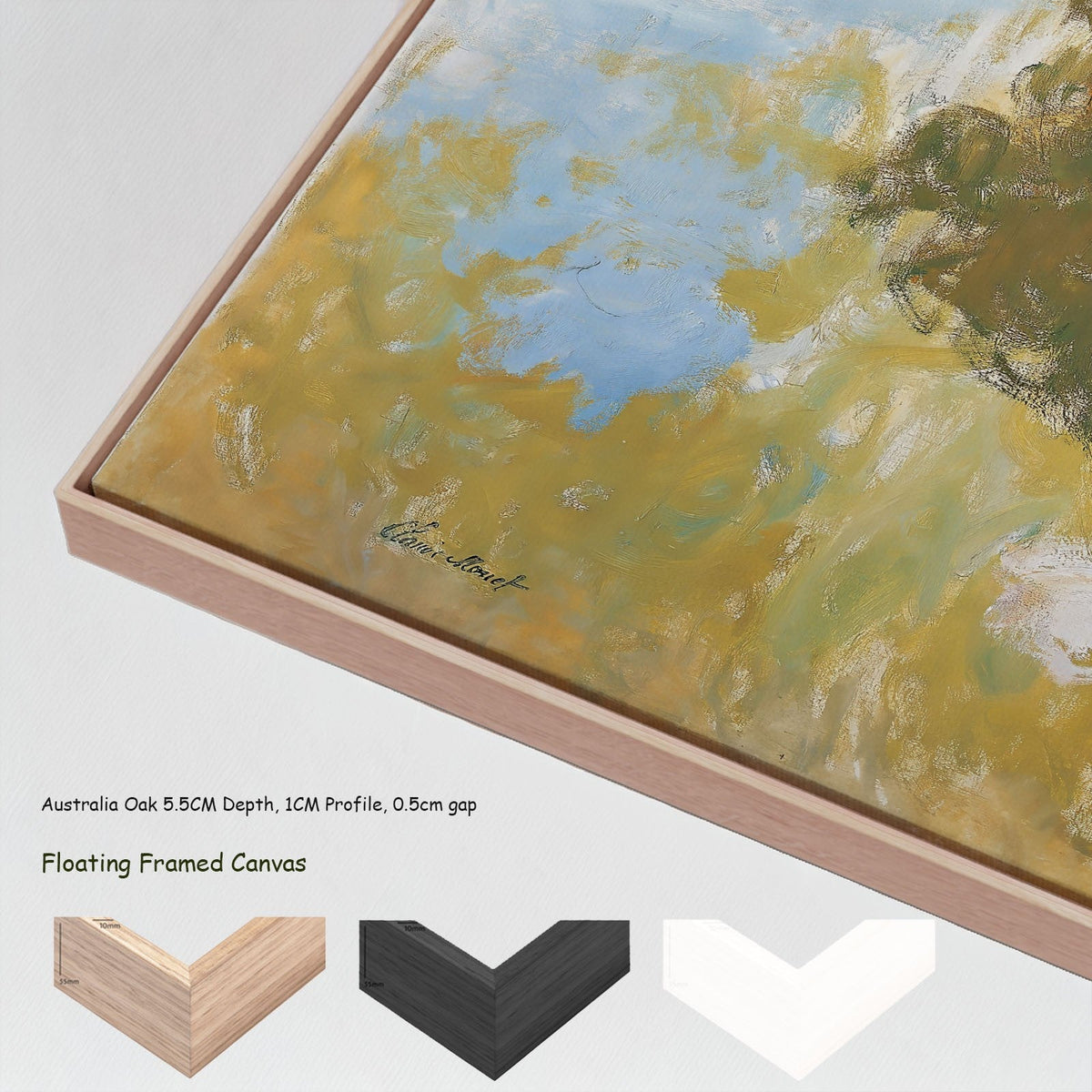 Claude Monet — The Water Lily Pond canvas wall art with floating frame options