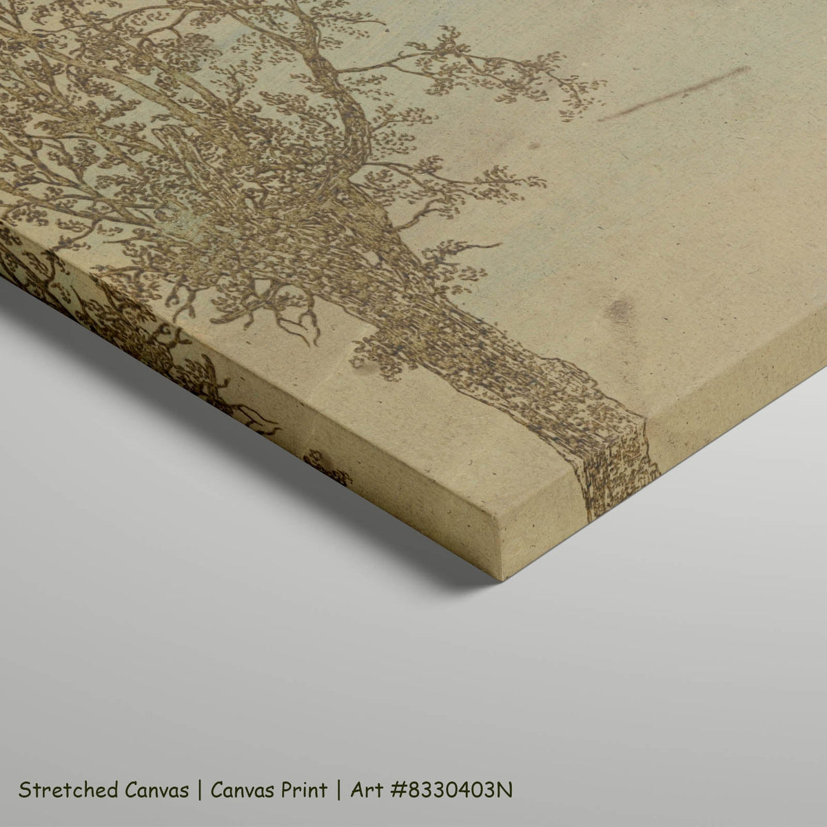 Hercules Segers — Two Trees: An Alder and an Ash Line-Art art on stretched canvas