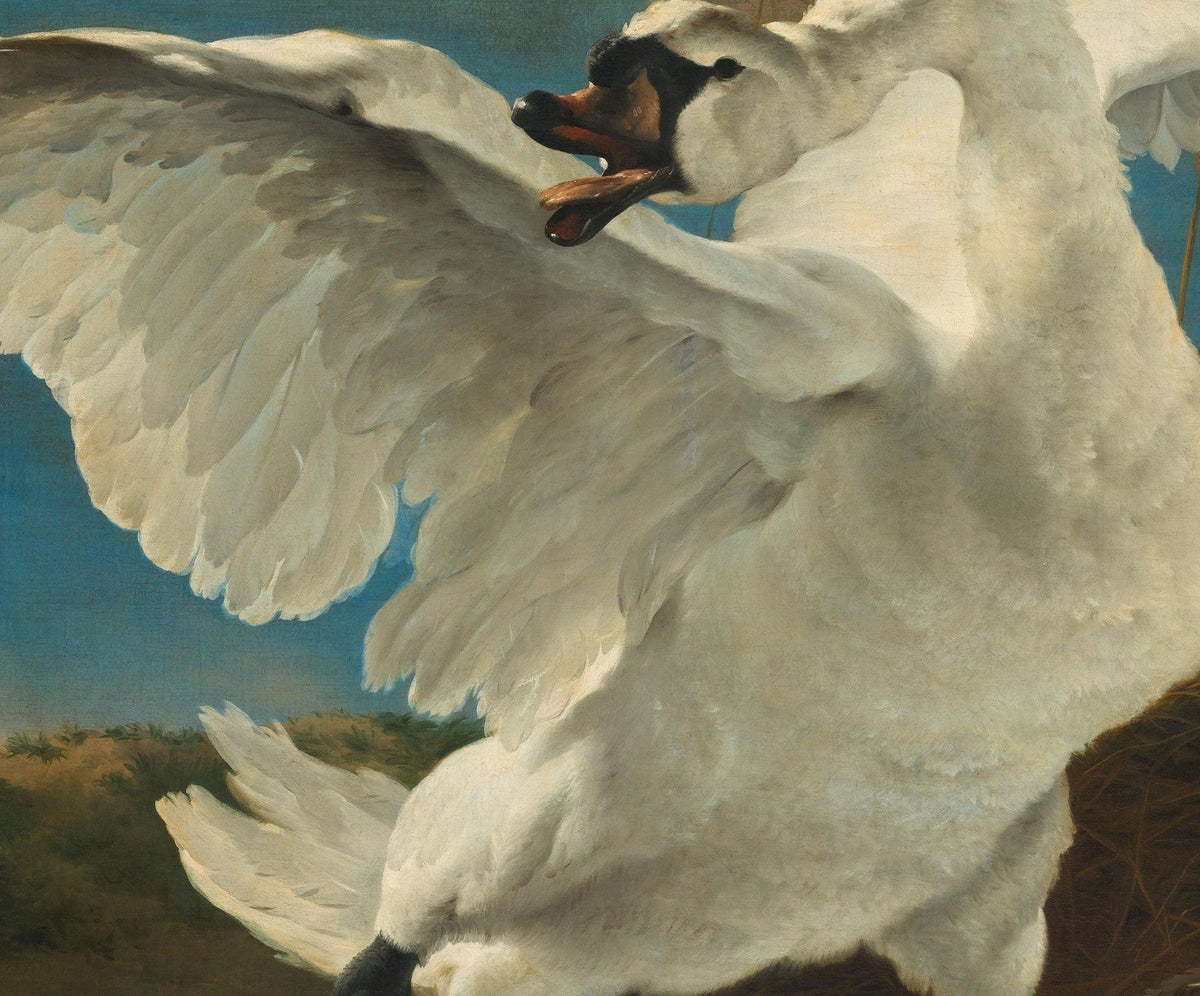 Jan Asselijn — The Threatened Swan canvas — close-up detail of the framed canvas print