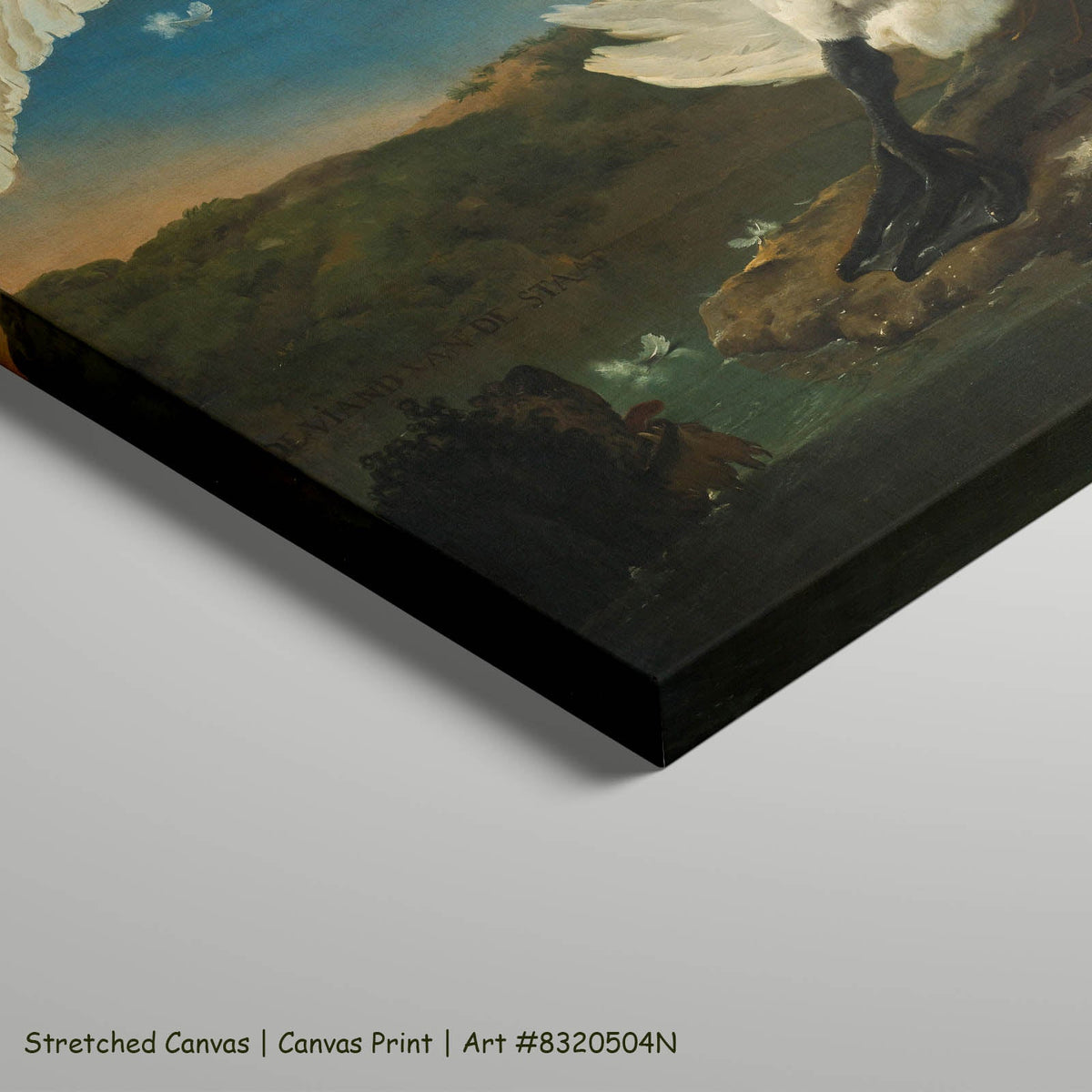 Jan Asselijn — The Threatened Swan Wildlife art on stretched canvas