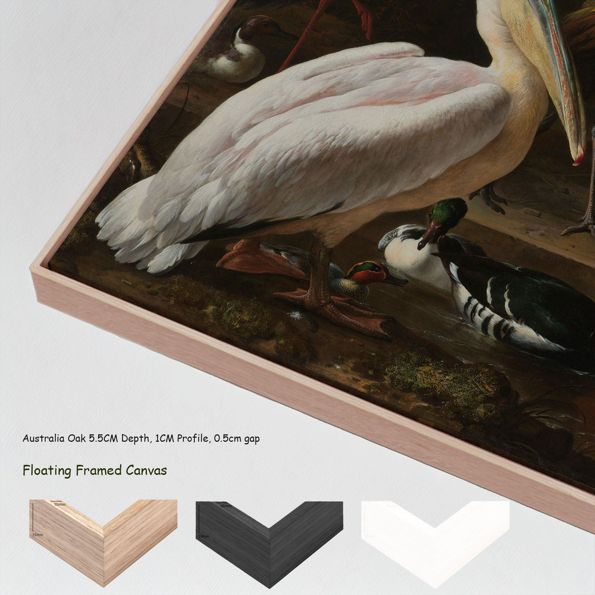 Melchior d'Hondecoeter — A Pelican & Other Birds (The Floating Feather) canvas wall art with floating frame options