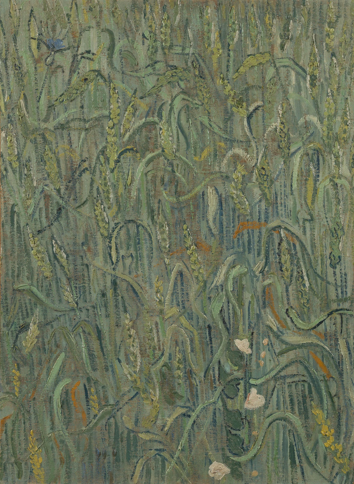 Large green Impressionist canvas print of Ears of Wheat by Vincent van Gogh