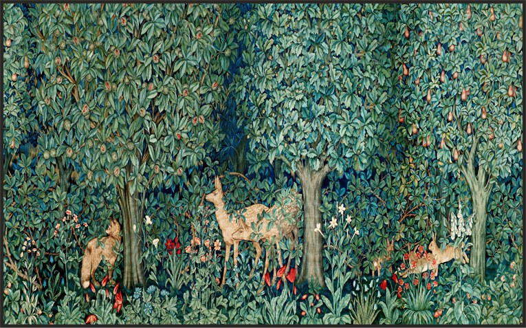 Fresh Forest -Box Frame Canvas Print - 180 x 110cm, 130 x 70cm - Wall Liberation