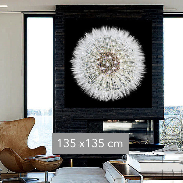 Dandelion art photography canvas print | box floating framed | #684 - Wall Liberation